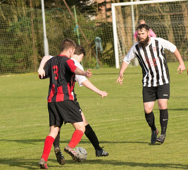 择了积极的 择了积极的