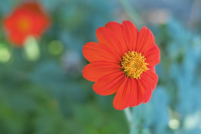 速传导的线 速传导的线