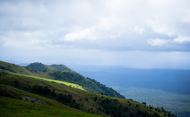 队的防线 队的防线